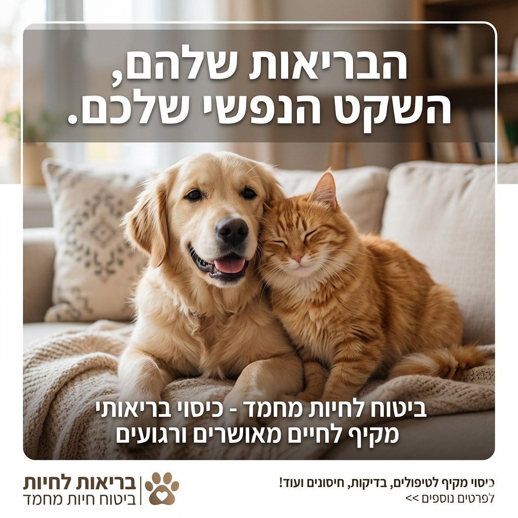 פוסט ביטוח חיות מחמד
